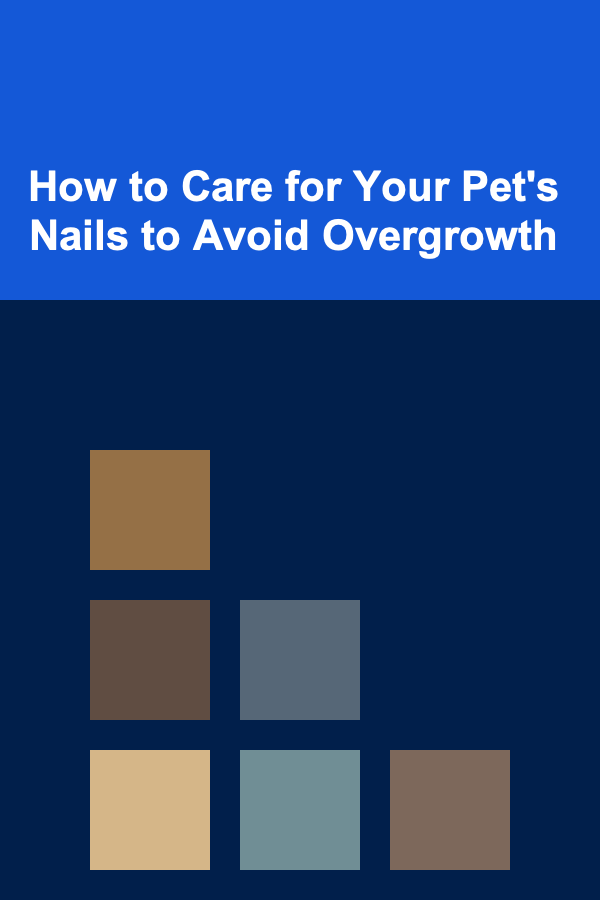 How to Care for Your Pet's Nails to Avoid Overgrowth