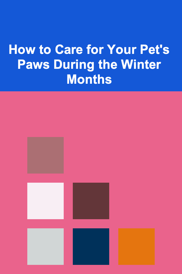How to Care for Your Pet's Paws During the Winter Months