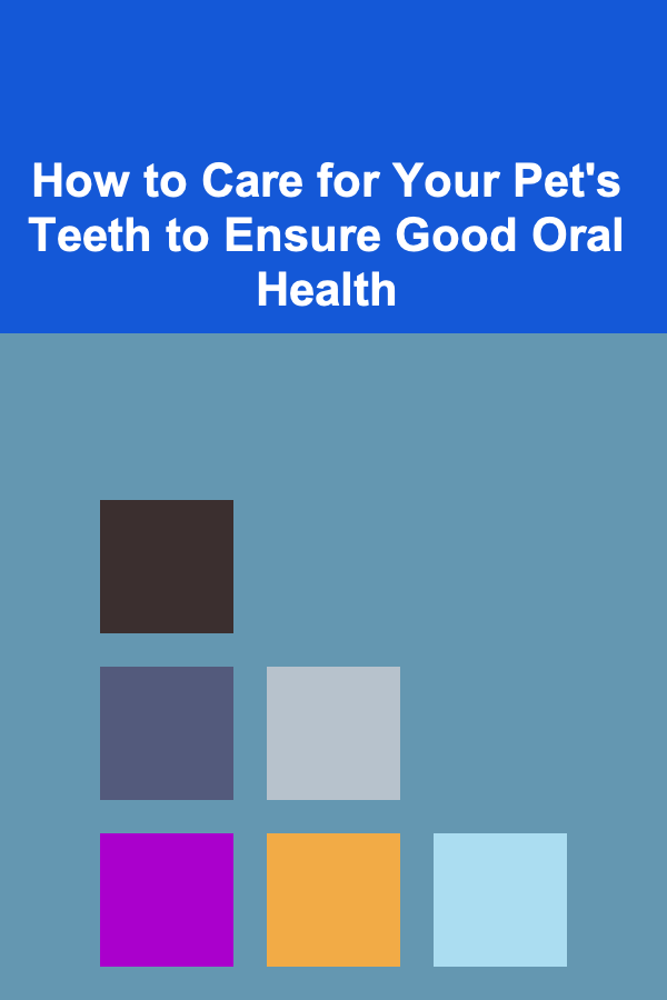 How to Care for Your Pet's Teeth to Ensure Good Oral Health