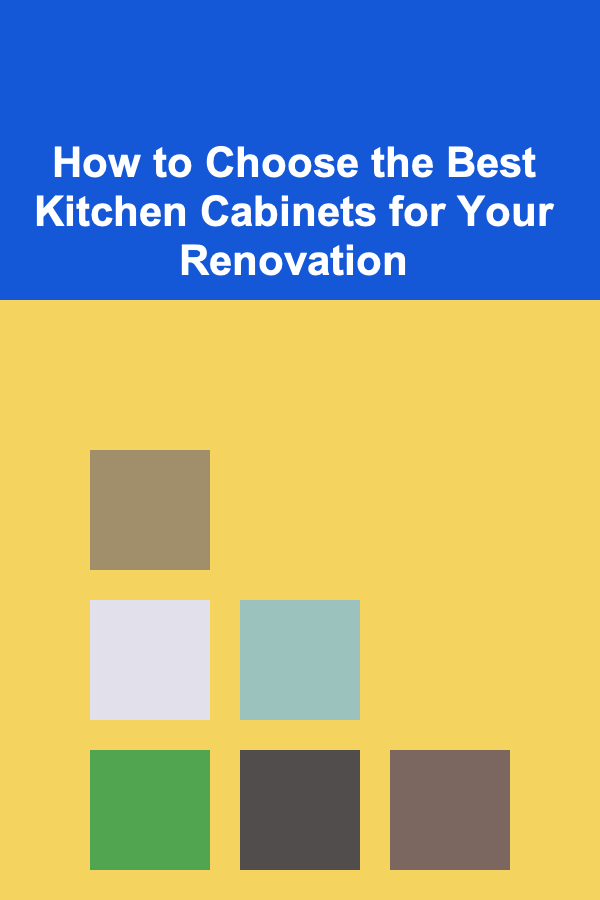How to Choose the Best Kitchen Cabinets for Your Renovation