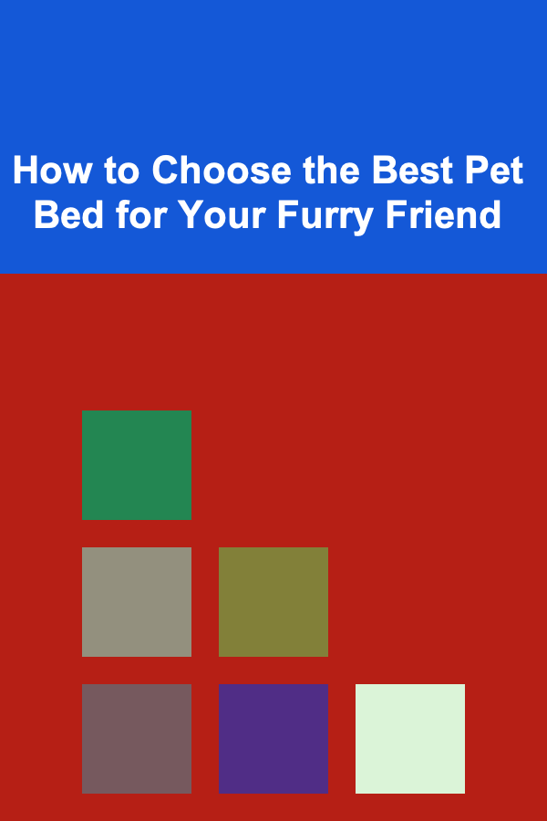 How to Choose the Best Pet Bed for Your Furry Friend