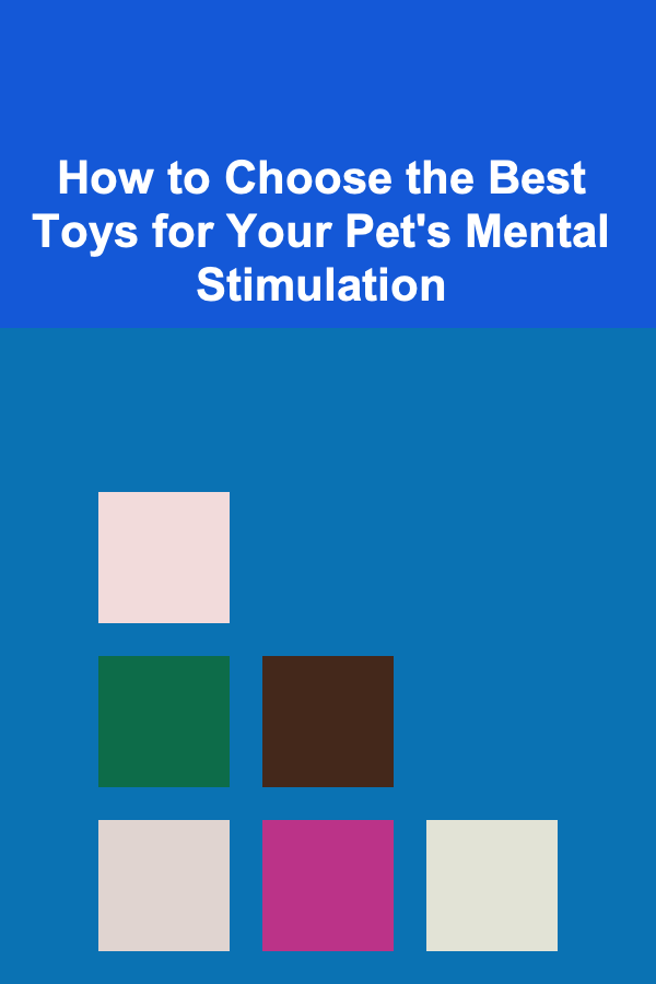 How to Choose the Best Toys for Your Pet's Mental Stimulation