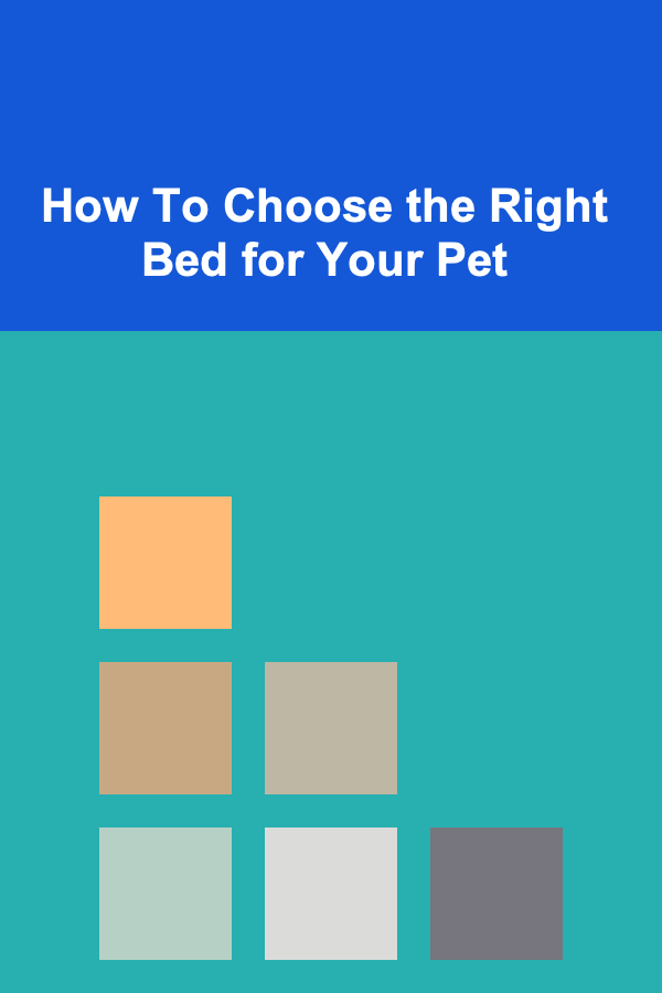 How To Choose the Right Bed for Your Pet
