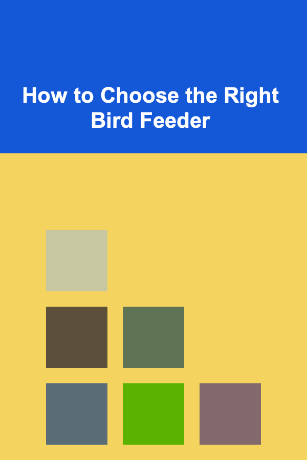 How to Choose the Right Bird Feeder