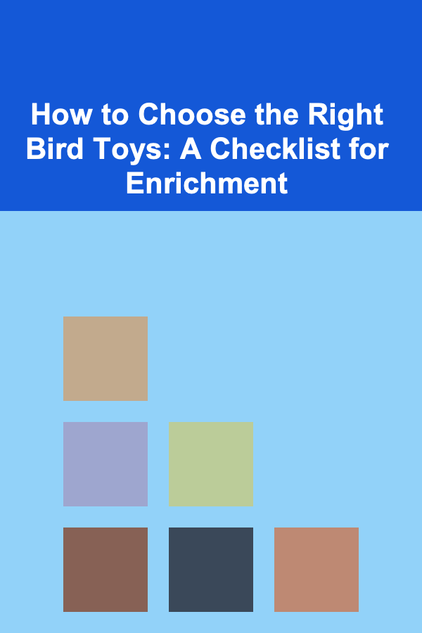 How to Choose the Right Bird Toys: A Checklist for Enrichment
