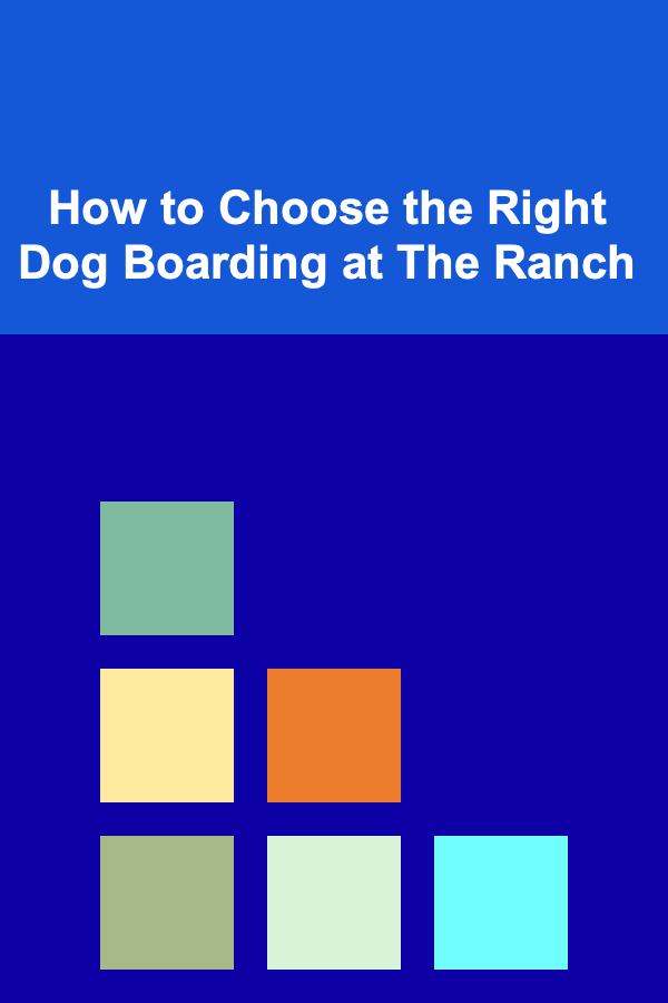 How to Choose the Right Dog Boarding at The Ranch