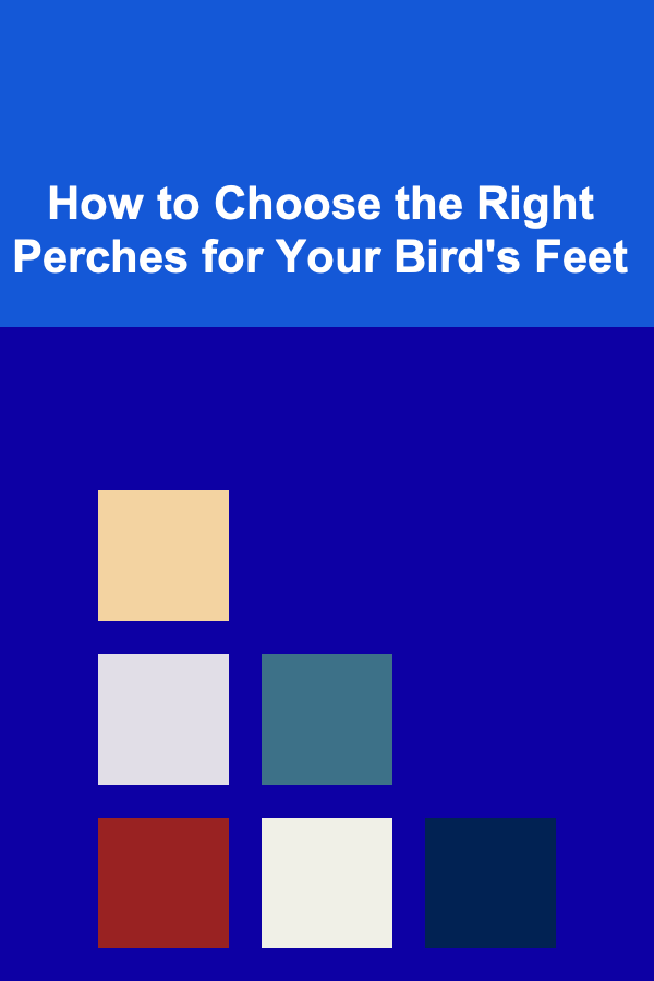 How to Choose the Right Perches for Your Bird's Feet