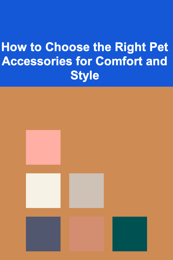 How to Choose the Right Pet Accessories for Comfort and Style