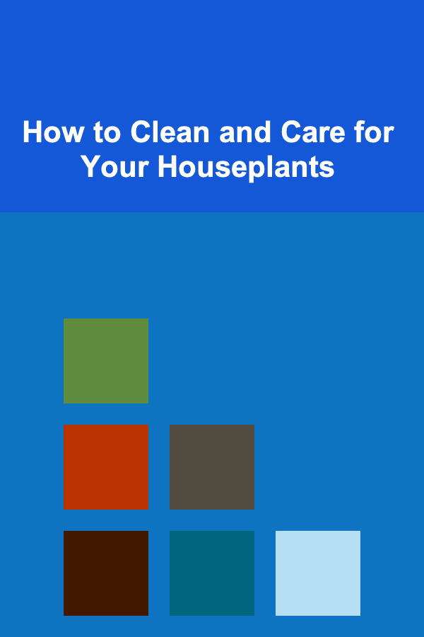 How to Clean and Care for Your Houseplants