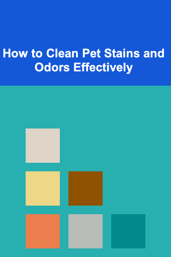 How to Clean Pet Stains and Odors Effectively