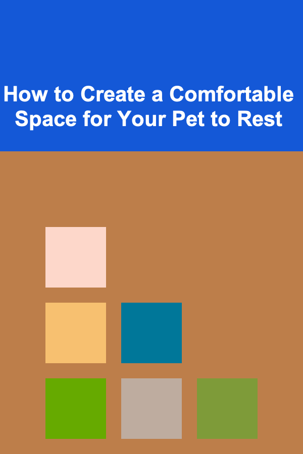 How to Create a Comfortable Space for Your Pet to Rest