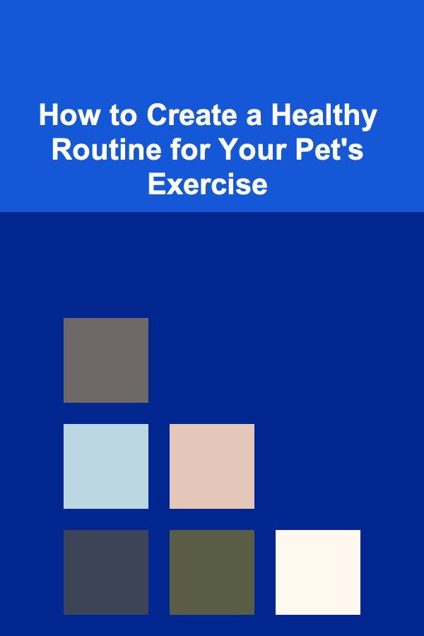How to Create a Healthy Routine for Your Pet's Exercise