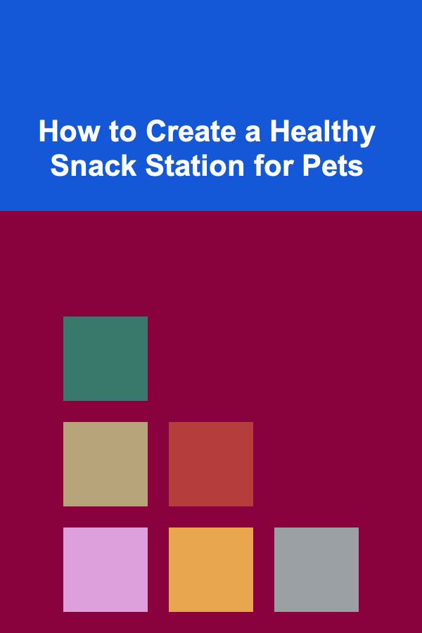 How to Create a Healthy Snack Station for Pets
