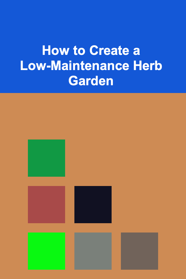 How to Create a Low-Maintenance Herb Garden