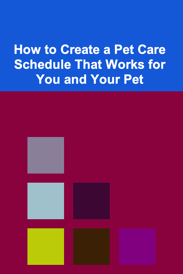 How to Create a Pet Care Schedule That Works for You and Your Pet