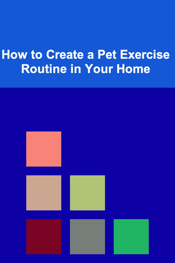 How to Create a Pet Exercise Routine in Your Home