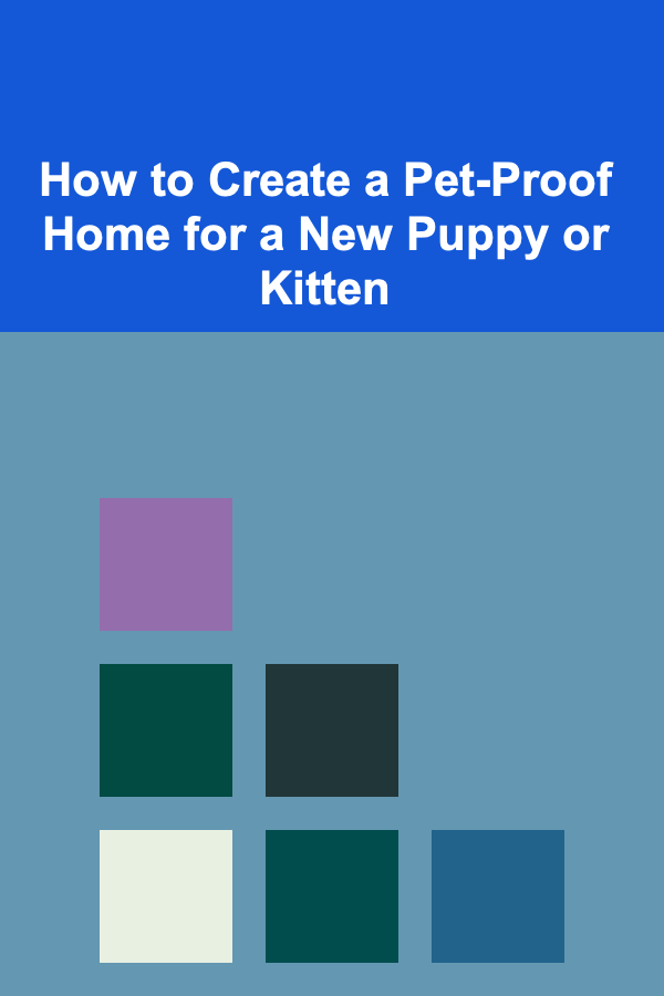 How to Create a Pet-Proof Home for a New Puppy or Kitten