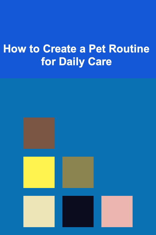 How to Create a Pet Routine for Daily Care