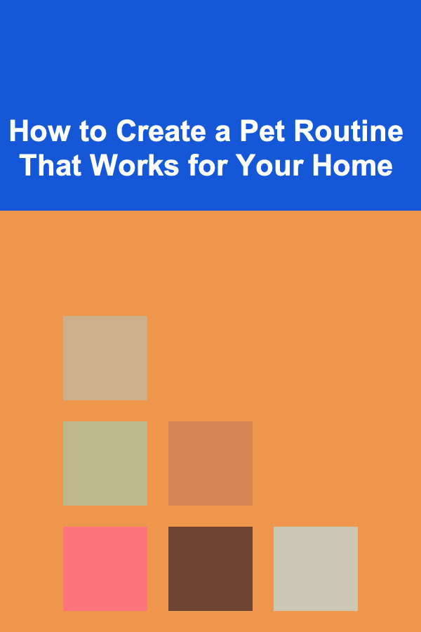 How to Create a Pet Routine That Works for Your Home