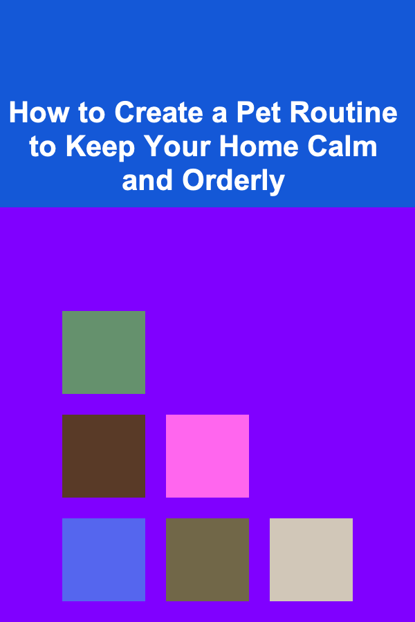 How to Create a Pet Routine to Keep Your Home Calm and Orderly
