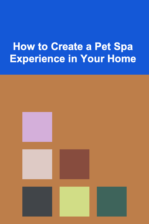 How to Create a Pet Spa Experience in Your Home