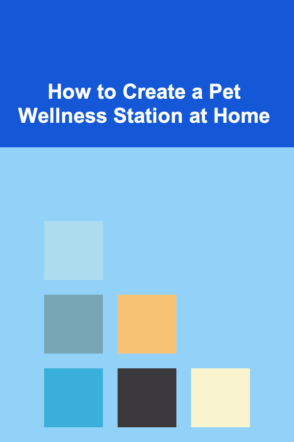 How to Create a Pet Wellness Station at Home