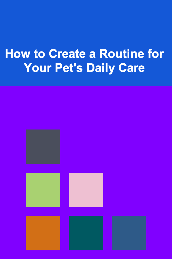How to Create a Routine for Your Pet's Daily Care