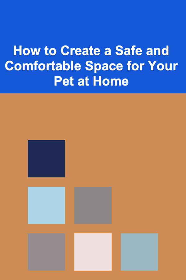 How to Create a Safe and Comfortable Space for Your Pet at Home