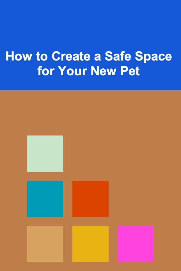 How to Create a Safe Space for Your New Pet