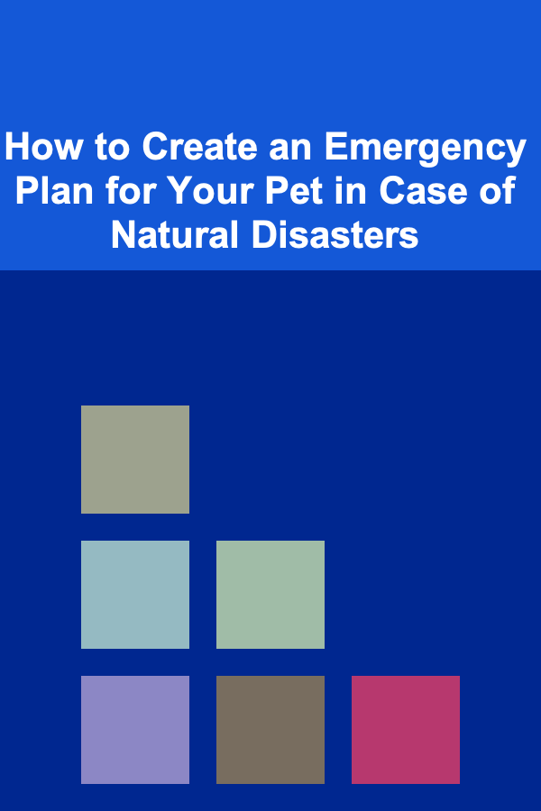 How to Create an Emergency Plan for Your Pet in Case of Natural Disasters