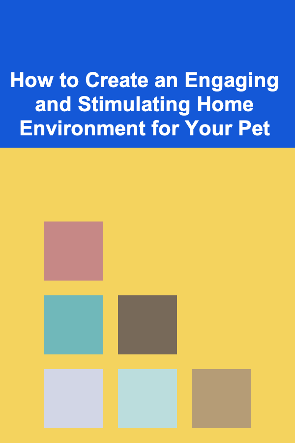 How to Create an Engaging and Stimulating Home Environment for Your Pet