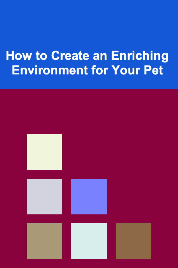 How to Create an Enriching Environment for Your Pet