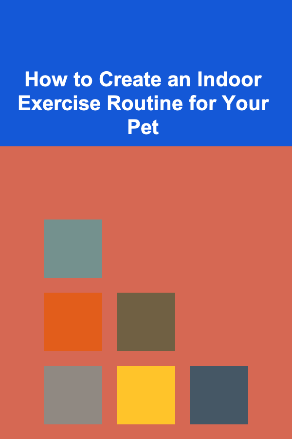 How to Create an Indoor Exercise Routine for Your Pet