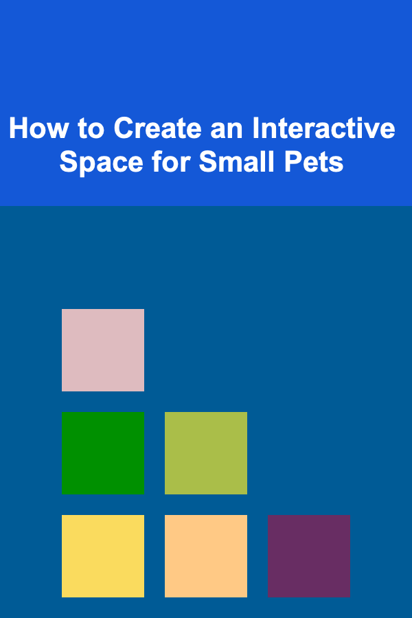 How to Create an Interactive Space for Small Pets