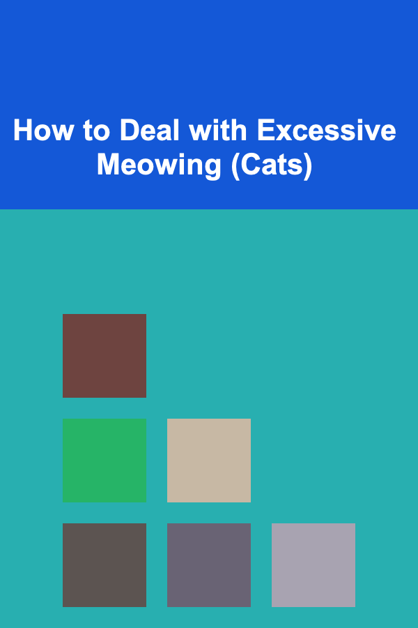 How to Deal with Excessive Meowing (Cats)