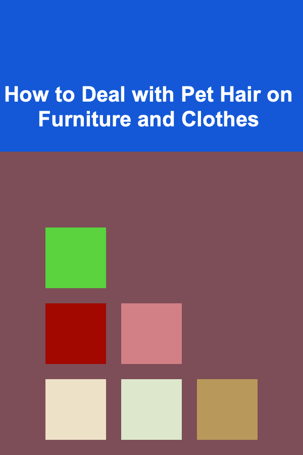How to Deal with Pet Hair on Furniture and Clothes