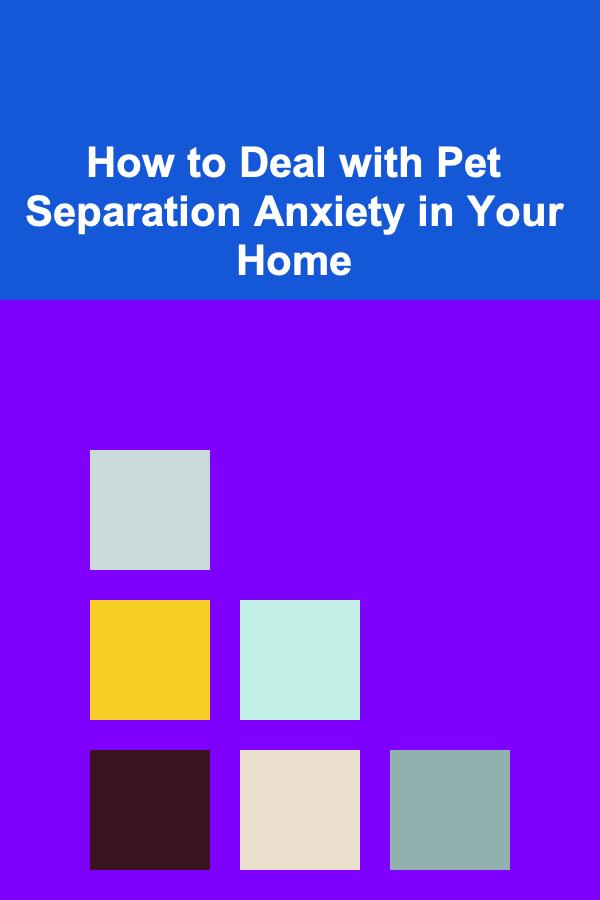 How to Deal with Pet Separation Anxiety in Your Home