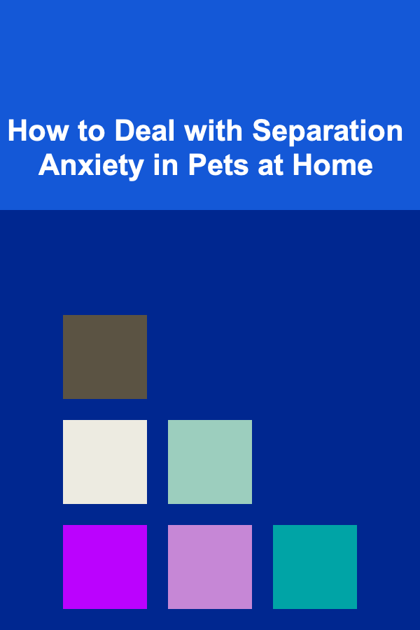 How to Deal with Separation Anxiety in Pets at Home