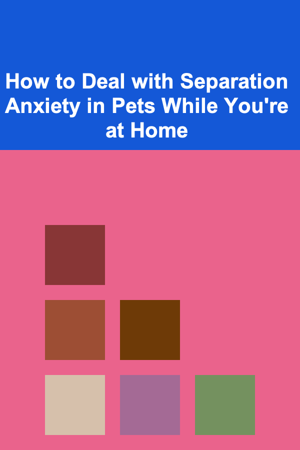 How to Deal with Separation Anxiety in Pets While You're at Home
