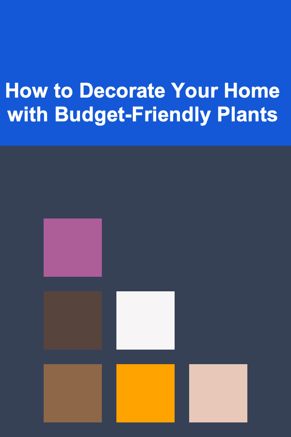 How to Decorate Your Home with Budget-Friendly Plants