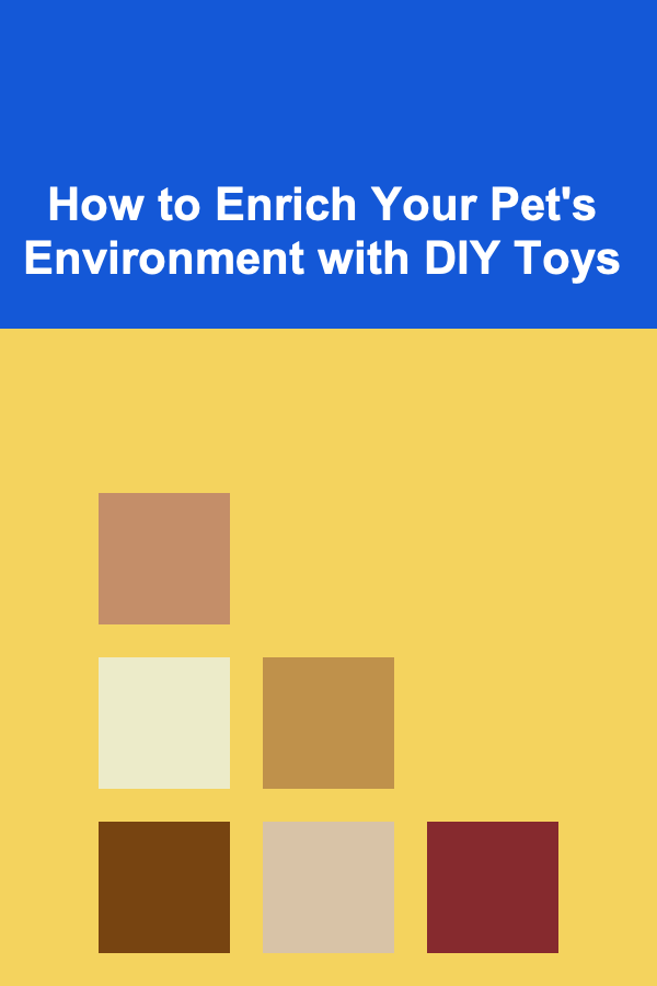 How to Enrich Your Pet's Environment with DIY Toys