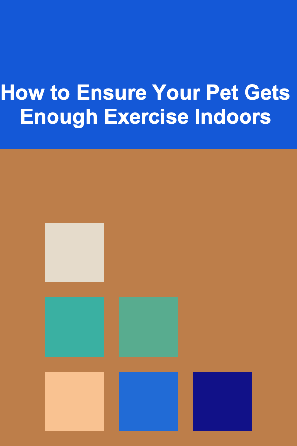 How to Ensure Your Pet Gets Enough Exercise Indoors