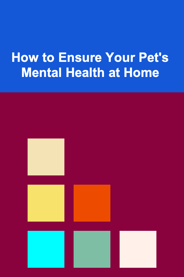How to Ensure Your Pet's Mental Health at Home