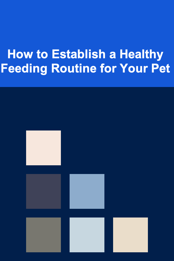 How to Establish a Healthy Feeding Routine for Your Pet