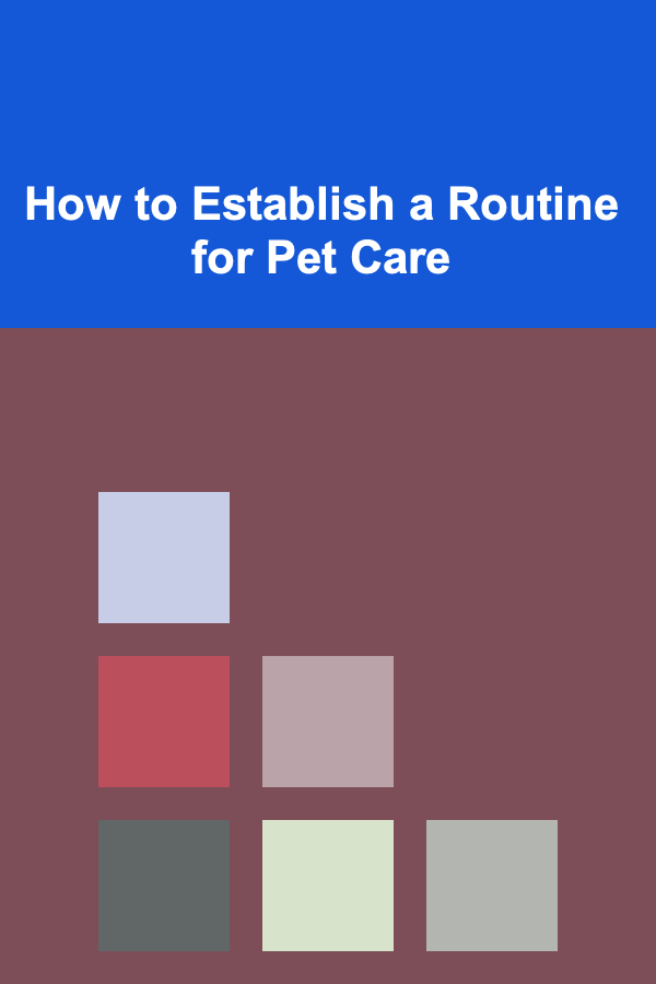 How to Establish a Routine for Pet Care