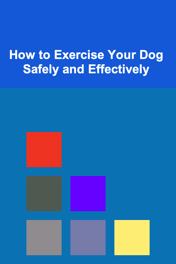 How to Exercise Your Dog Safely and Effectively