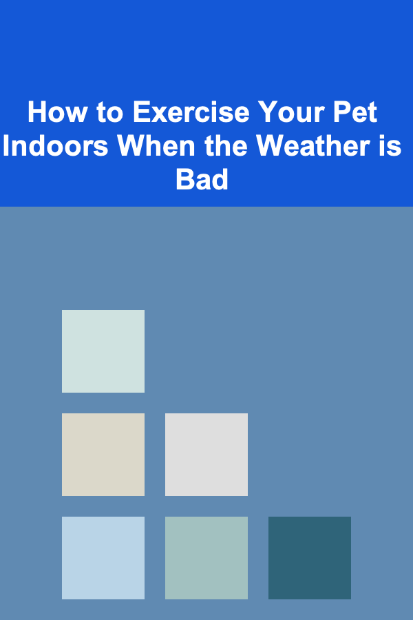 How to Exercise Your Pet Indoors When the Weather is Bad