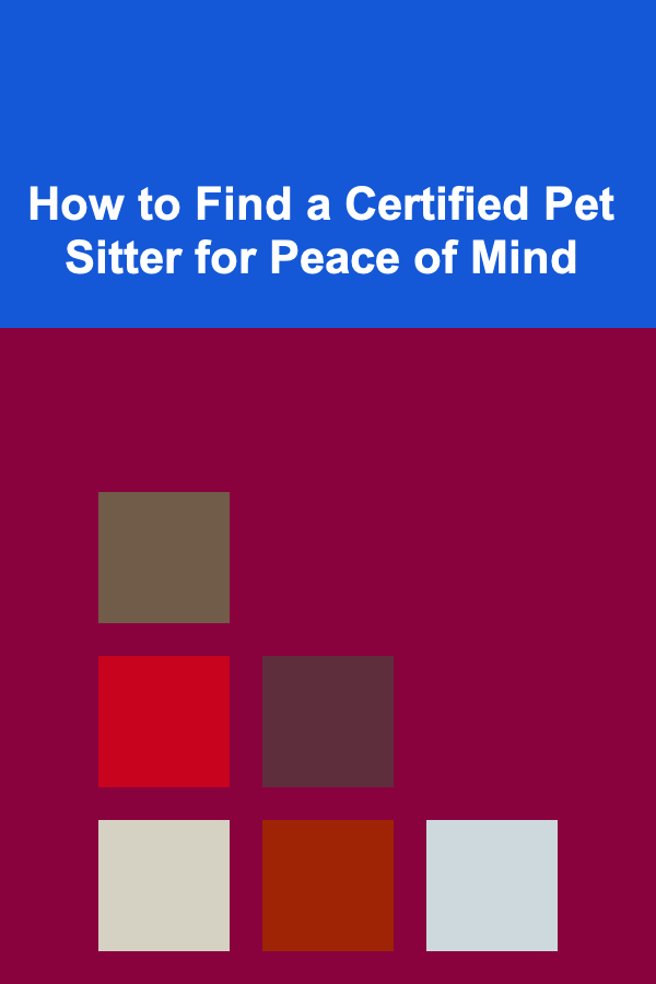 How to Find a Certified Pet Sitter for Peace of Mind