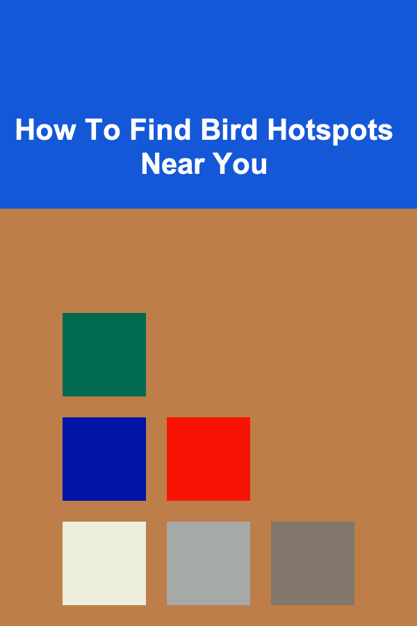 How To Find Bird Hotspots Near You