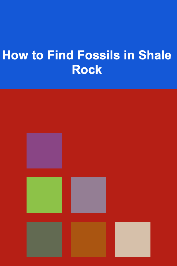 How to Find Fossils in Shale Rock
